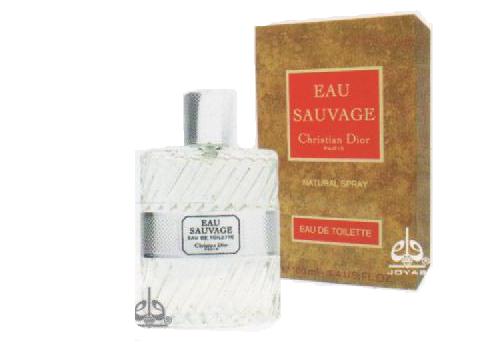 EAU SAVAGE 100ml TOILETTE CABALLERO