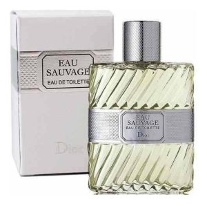 EAU SAVAGE 100ml TOILETTE CABALLERO